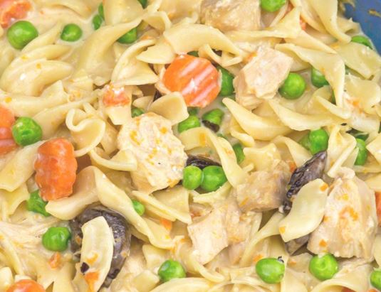 SLOW COOKER EXTRA CREAMY CHICKEN & NOODLES