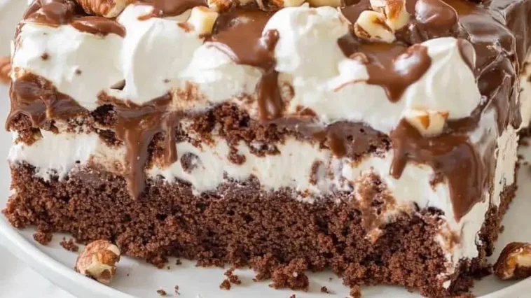 Mississippi Mud Cake